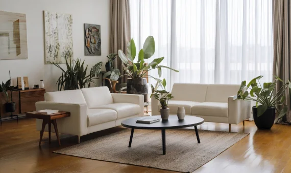 Living room with plants